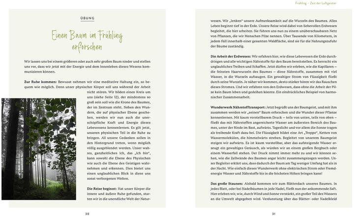 Immagine prodotto Die Welt der Naturgeister (Tedesco, Sam Hess, 2022)