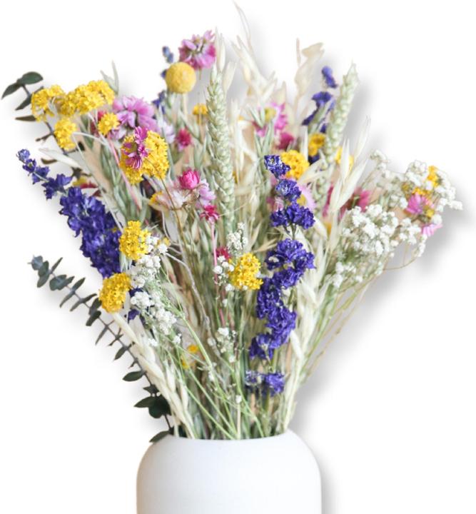 Yellow, Blue, Violet