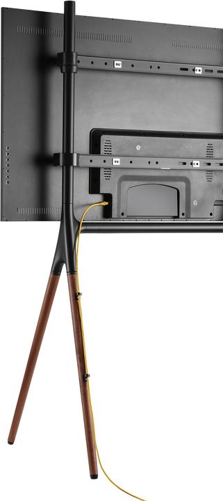 Actual product image Neomounts NM-M1000BLACK is a floor stand for flat screen TVs up to. (Universal, 70", 40 kg)