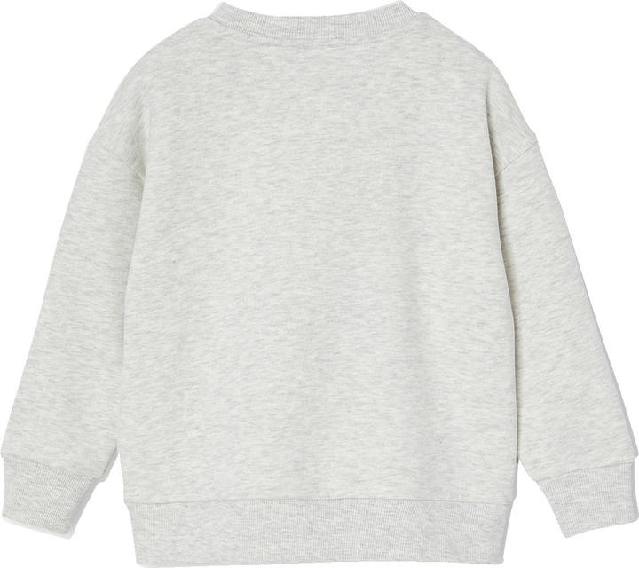 Actual product image Vertbaudet Jungen Sweatshirt mit grossem Skater-Motiv, Recycling-Polyester (128)