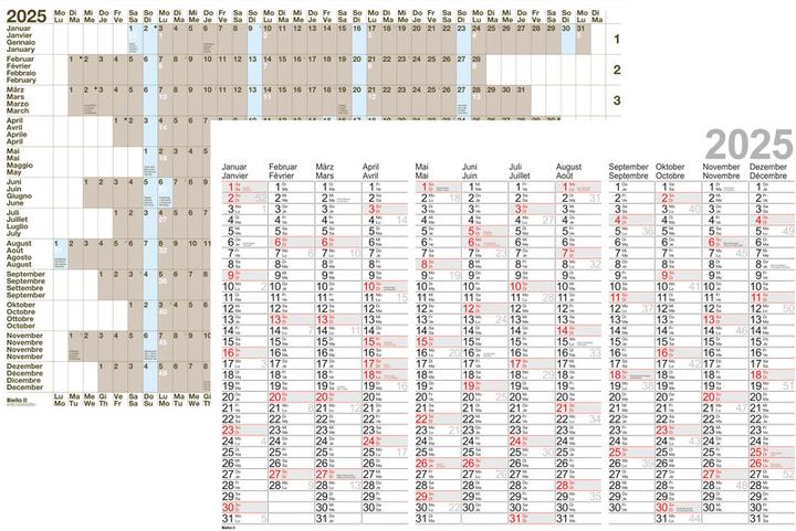 Immagine prodotto Biella Planning annuale da parete (68 x 98 cm, Nessuna rilegatura, Inglese, Tedesco, Francese, Italiano)
