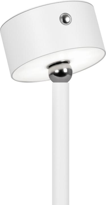 Image du produit Hansa Flare Ombre lampe de bureau blanc mat 5 W (190 lm)