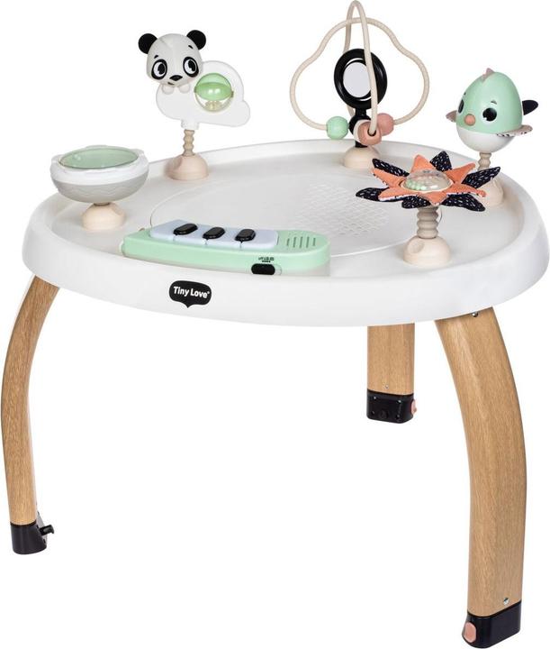 Image du produit Tiny Love 5in1 Here I Grow Aktivitätscenter