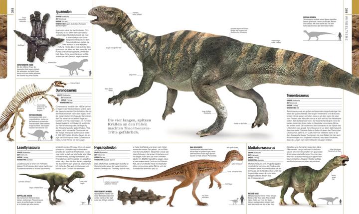 Immagine prodotto Dinosaurier und andere Lebewesen der Urzeit (Tedesco, Christopherua, Tommaso, Jennifer/Duffin, BarryA/Clack, 2020)