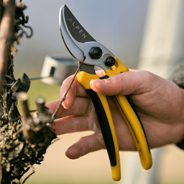 Productafbeelding Alpen Swiss Tools Alpen GELBHORN 140 snoeischaren