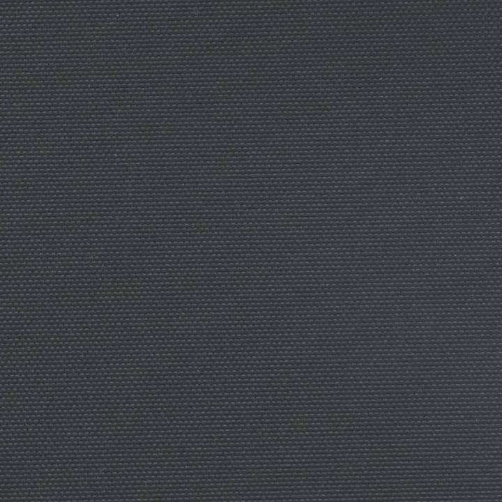Actual product image VidaXL Extendable side awning (1.60 m)