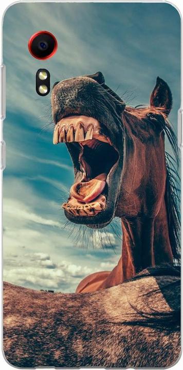 Funny horse