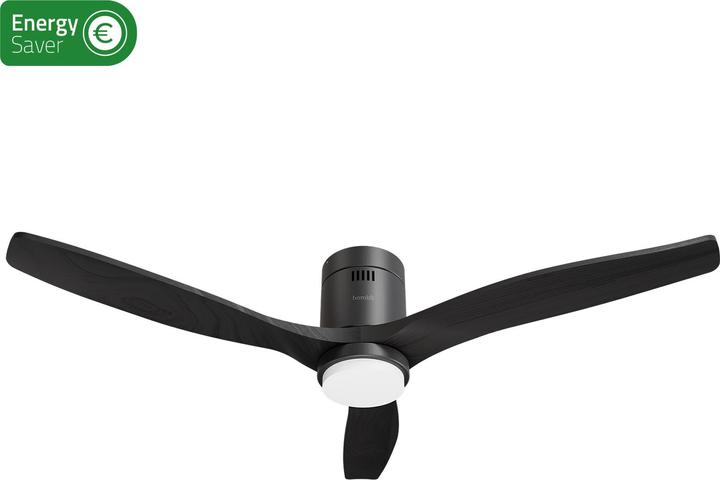 Image du produit Hombli Deckenventilator mit Licht (43 dB)