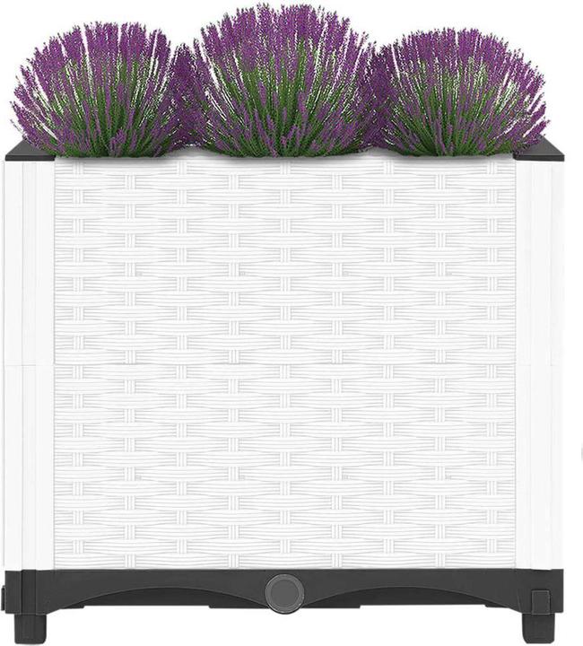 Actual product image VidaXL Birgid