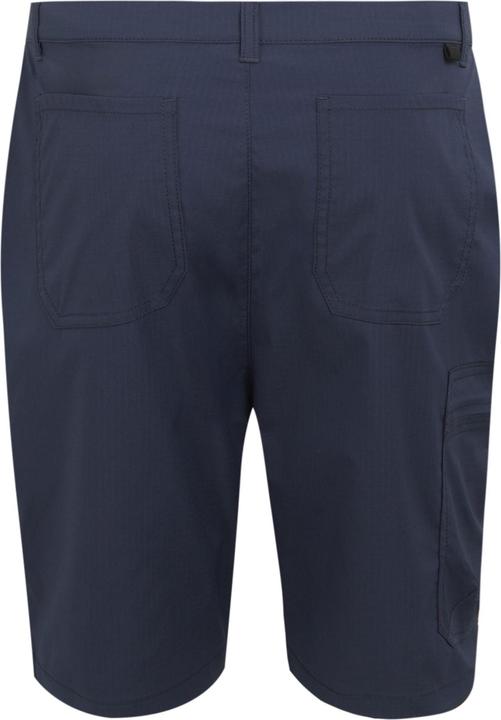 Actual product image Regatta Mens Dalry Multi Pocket Shorts (44)