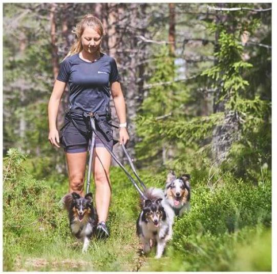 Produktbild Non-Stop Dogwear Line Harness 5.0 Orange 3 (3, Hund, Arbeit, Fahrrad, Allgemein, Spazieren, Hundesport)