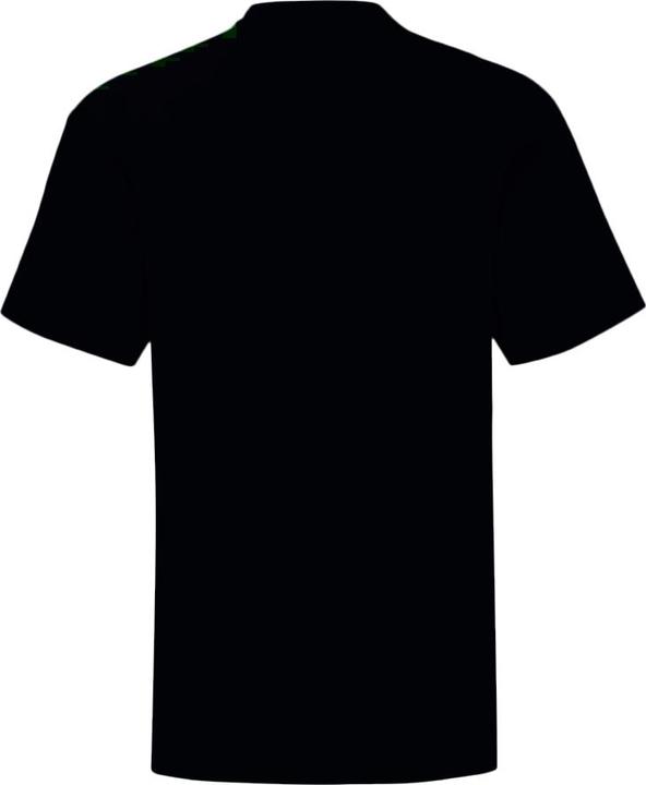 Image du produit Tee-shirt Hogwarts (L)