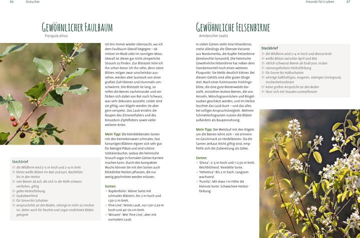 Actual product image Heimische Pflanzen für den Garten (German, Elke Schwarzer, 2022)