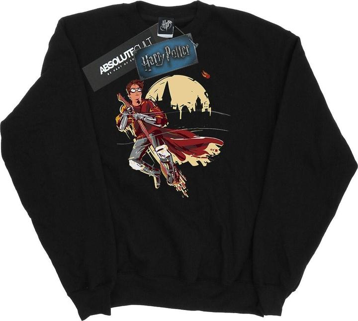 Produktbild Quidditch Seeeker Sweatshirt (S)