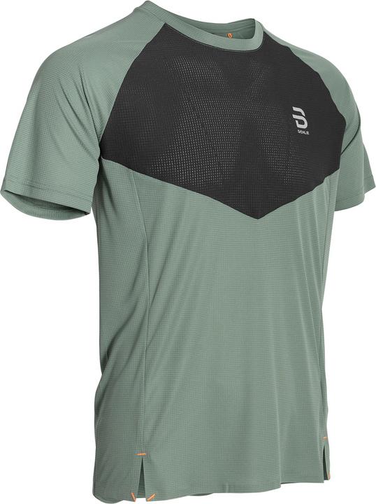 Daehlie M T-Shirt Run 365