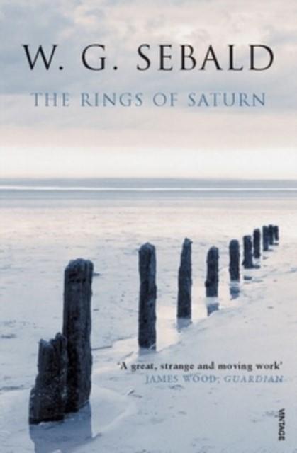 Actual product image The Rings of Saturn (English, Michael Hulse, W. G. Sebald, 2002)