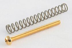 Actual product image AllParts AP GS 0012-002 Screws for HB gold (4) (Instrument spare parts)