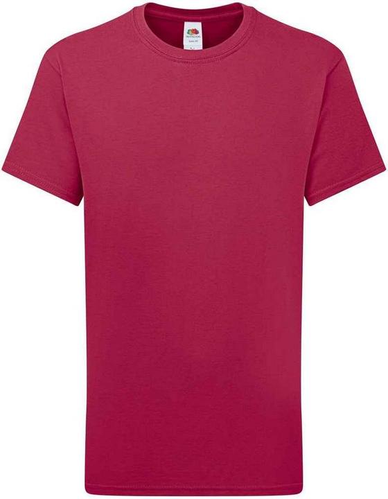 Actual product image Fruit of the Loom Childrens/Kids Iconic 195 Premium T-Shirt (128)