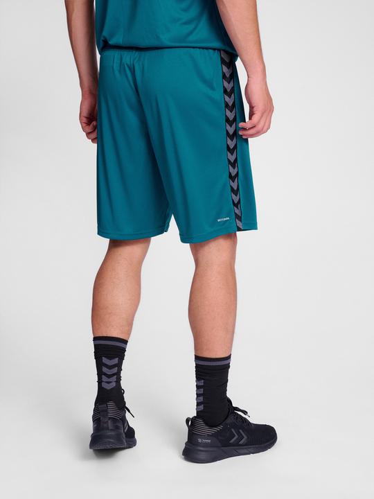 Actual product image hummel Hmlauthentic Pl Shorts (S)