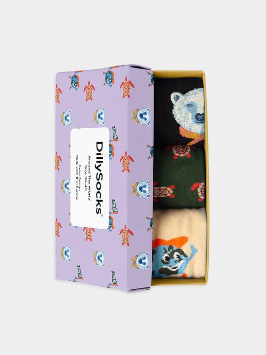 Image du produit DillySocks Autour du monde (Lot de 3, 36 - 40)