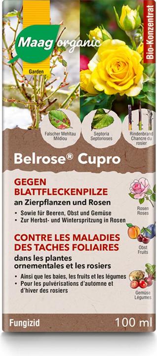 Maag Belrose Cupro liq