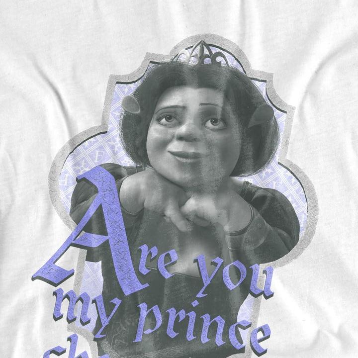 Actual product image Shrek Mens Are You Prince Charming T-Shirt (4XL)