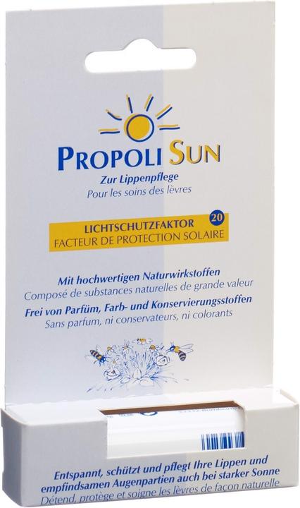 Immagine prodotto Remmele Balsam Stift SF20 (Cura matita)