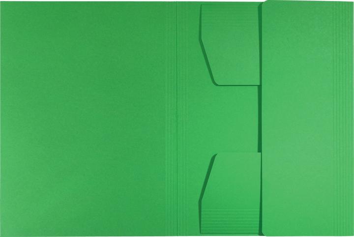 Actual product image Leitz Jurismappe (A4, 1 x)