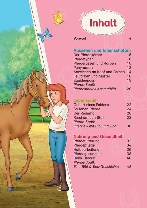 Image du produit Bibi & Tina: Das grosse Pferde-Quizbuch mit Bibi und Tina (Allemand, Klett Lerntraining, 2021)