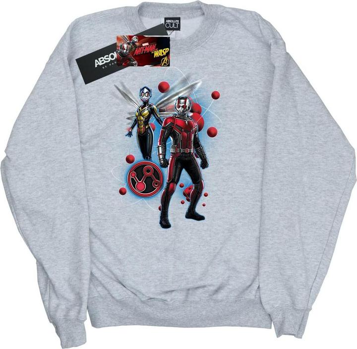 Image du produit Sweat Garçons Ant-Man And The Wasp Particle Pose (128)