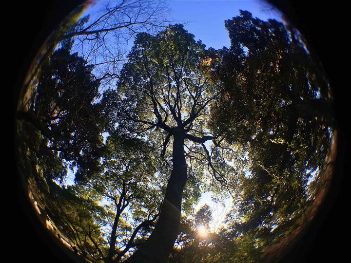 Image du produit Kenko Real Pro 180° Fisheye