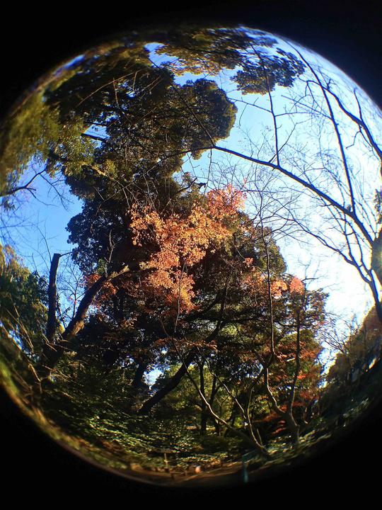Image du produit Kenko Real Pro 180° Fisheye
