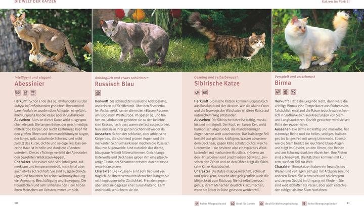 Produktbild Katzen (Deutsch, Brigitte Eilert-Overbeck, 2016)
