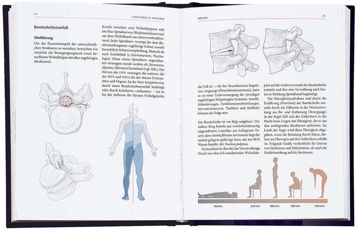 Immagine prodotto Yoga-Therapie in der Praxis (Tedesco, Daniele, Bitta/Pastore, Boerger, Judith (Dr.med.)/Helbig, 2023)