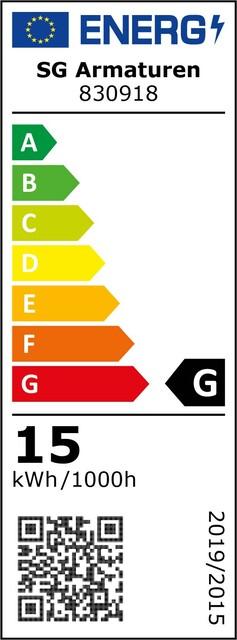 Label énergétique Sg Lampe LED sphérique E27 G95 15W 3000K ws 830918 (E27, 15 W, 1200 lm, 1 x, G)
