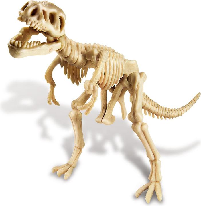 Immagine prodotto 4M Scheletro di Tyrannosaurus Rex - Set di scavi - Paleontologia - Bambino - 8 anni