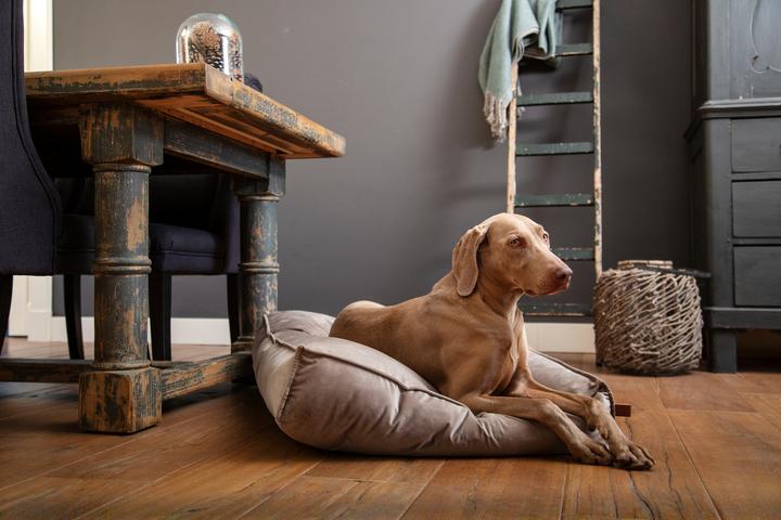 Actual product image Designed by Lotte Nalino (Dog)