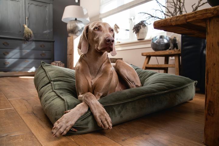 Actual product image Designed by Lotte Nalino (Dog)