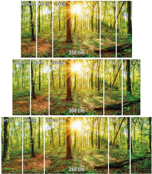 Image du produit Trenddeko Au coeur de la forêt (480 x 260 cm)