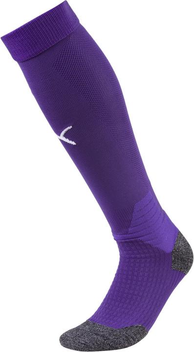 Actual product image Puma Team LIGA Socks-703438 (39 - 42)