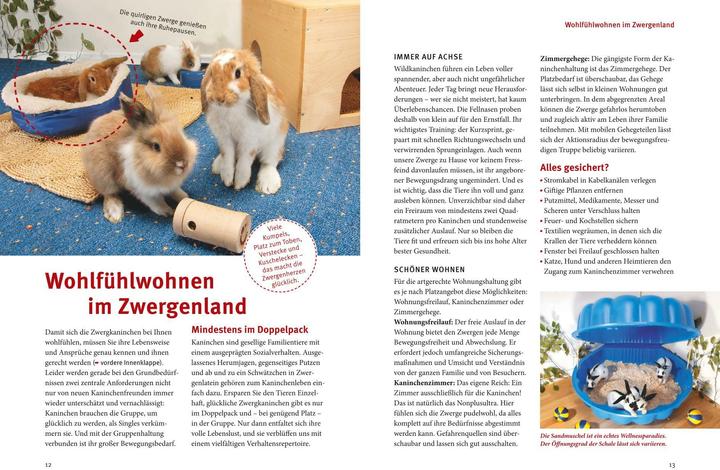 Actual product image Spiel- & Wohnideen Zwergkaninchen (German, Esther Schmidt, 2011)