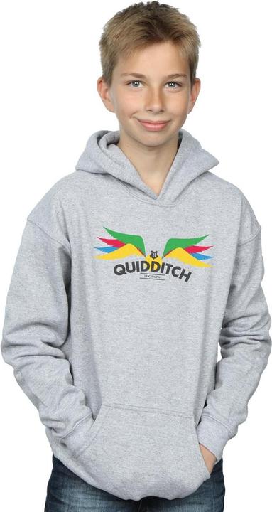 Image du produit - Sweat à capuche SNITCH WINGS PASTELS - Garçon (152, 158)