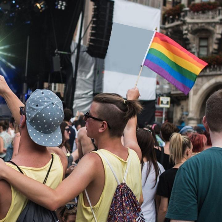 Immagine prodotto JTI Bandiera dell'orgoglio / bandiera arcobaleno