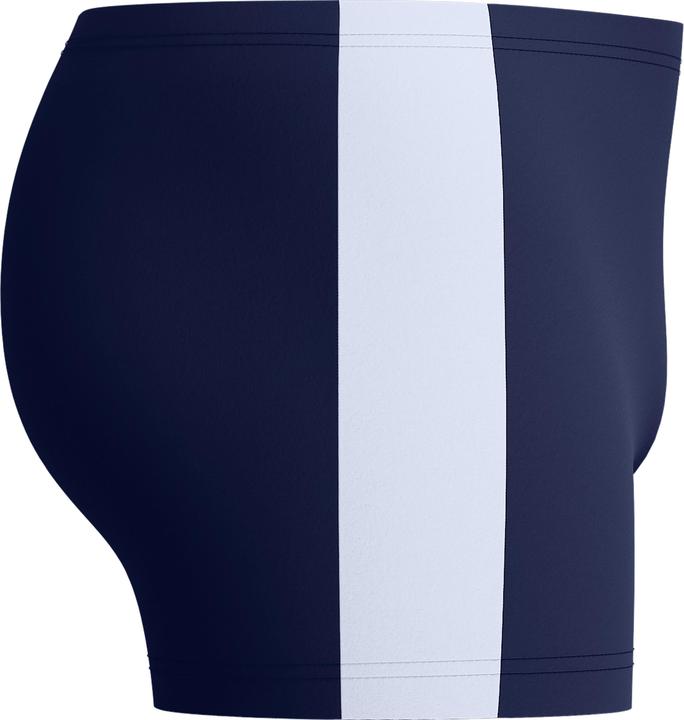 Produktbild Speedo Jetstream Retro Colorblock Squ (L)