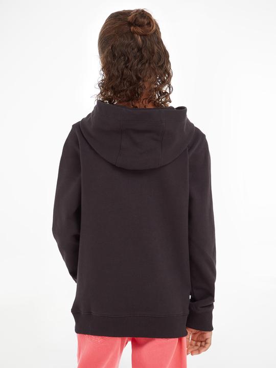 Actual product image Tommy Hilfiger Essential Hoodie (74)
