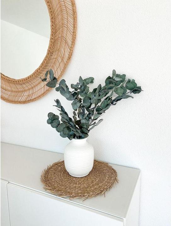 Produktbild Soli Collection Trockenblumen Eukalyptus (Trockenblumen)