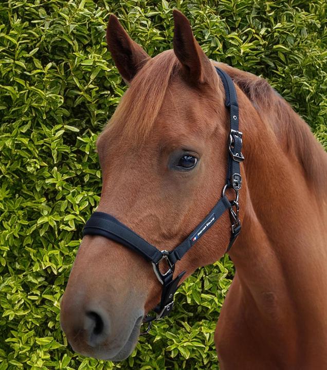 Actual product image Premier Equine Corda