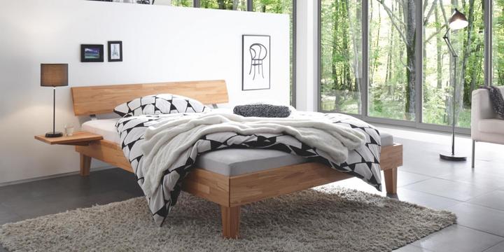 Image du produit Hasena Wood-Line Premium 18 Cadre de lit (140 x 200)