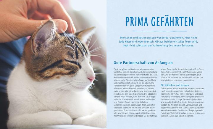 Produktbild Katzen (Deutsch, Brigitte Eilert-Overbeck, 2016)