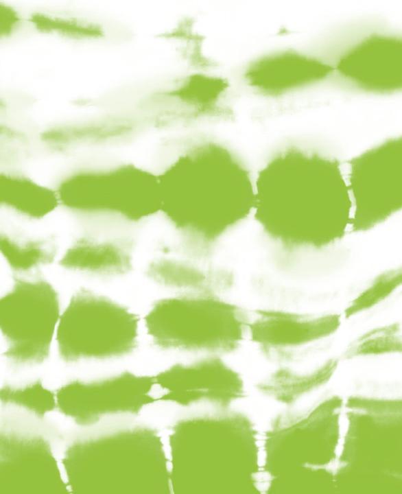 Immagine prodotto Kreul Colori per tinta batik, verde (Verde fresco)